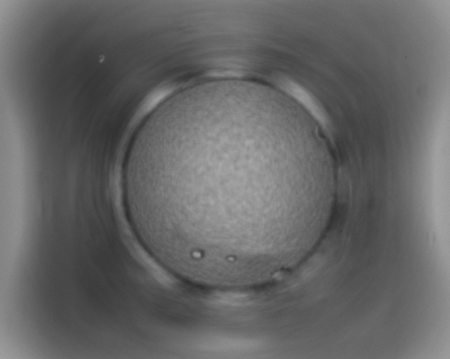 X0000114111187200910131336