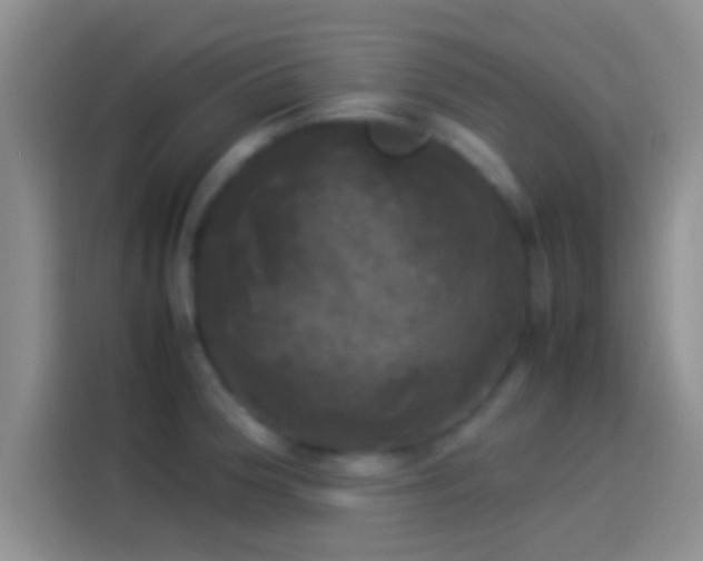 X0000114111188200910131336