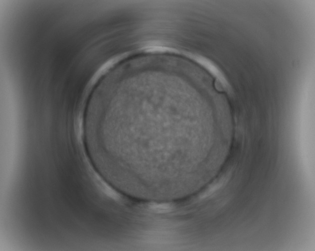 X0000114111191200910131336