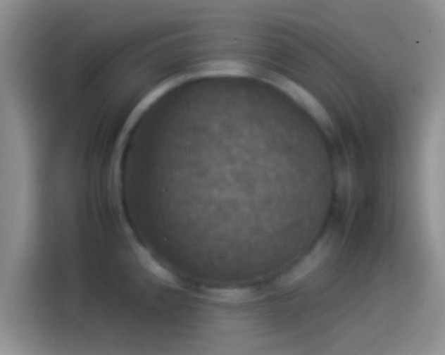 X0000114111192200910131336