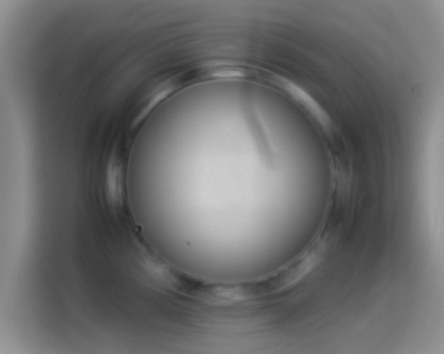 X0000114111194200910131336