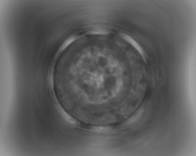 X0000114111195200910131336