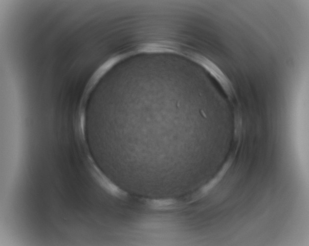 X0000114111196200910131336