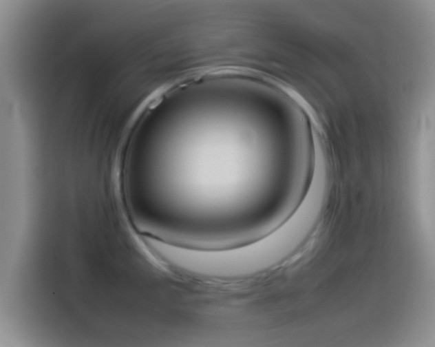 X0000114111197200910131336