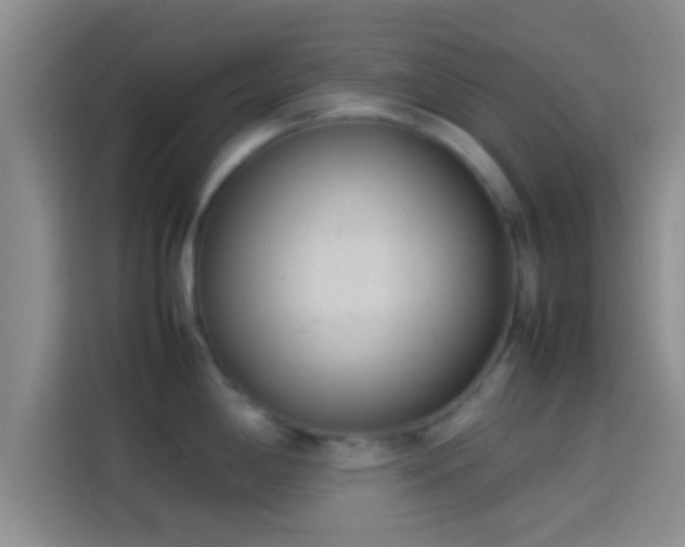 X0000114111198200910131336