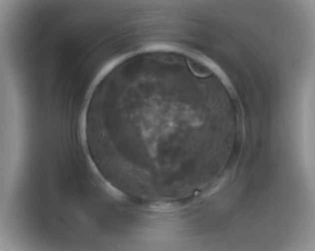 X0000114111199200910131336