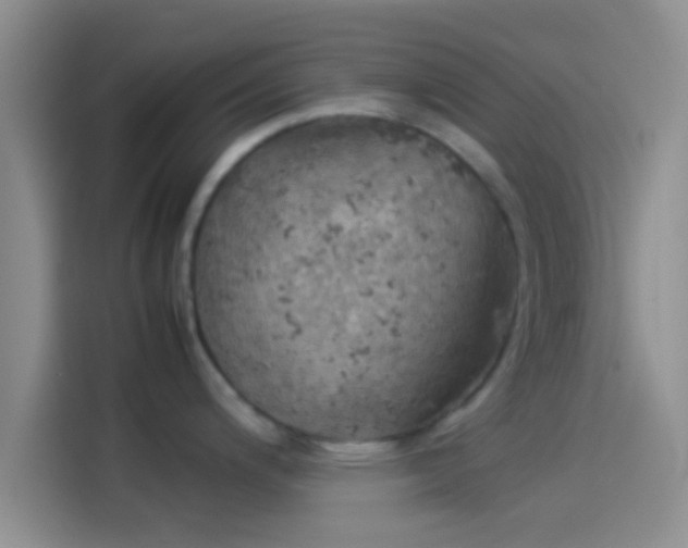 X0000114111200200910131336
