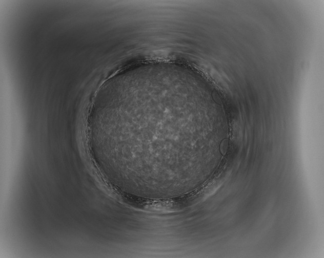 X0000114111201200910131335