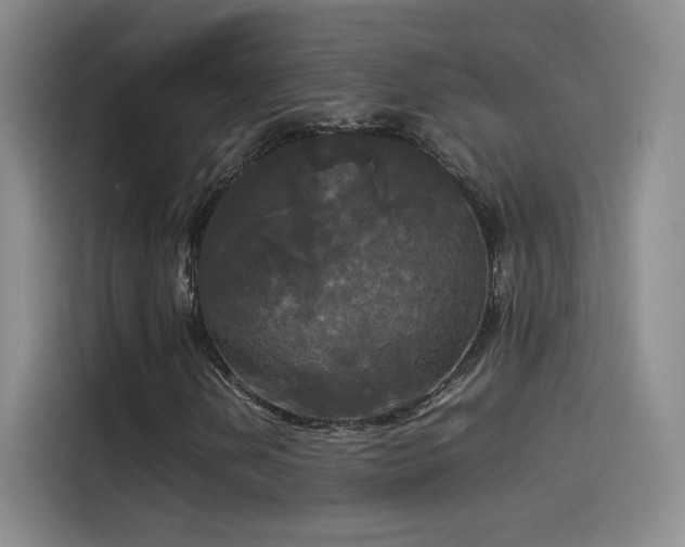 X0000114111202200910131335