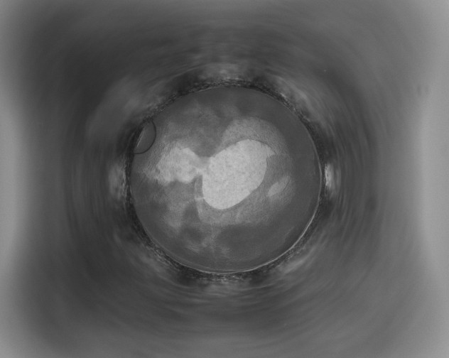 X0000114111203200910131335
