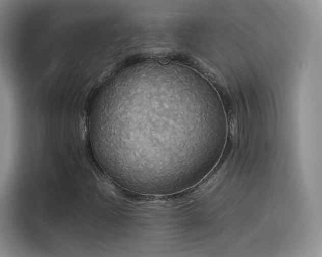 X0000114111204200910131335