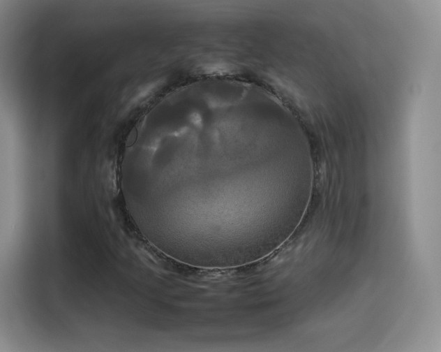 X0000114111205200910131335