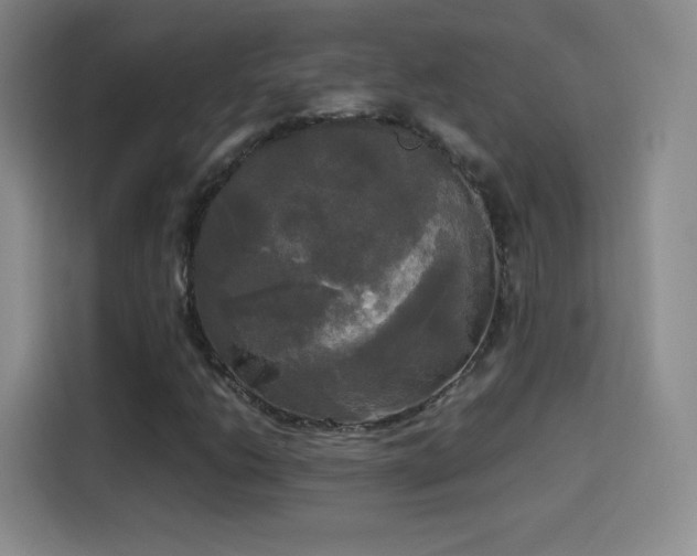 X0000114111206200910131335