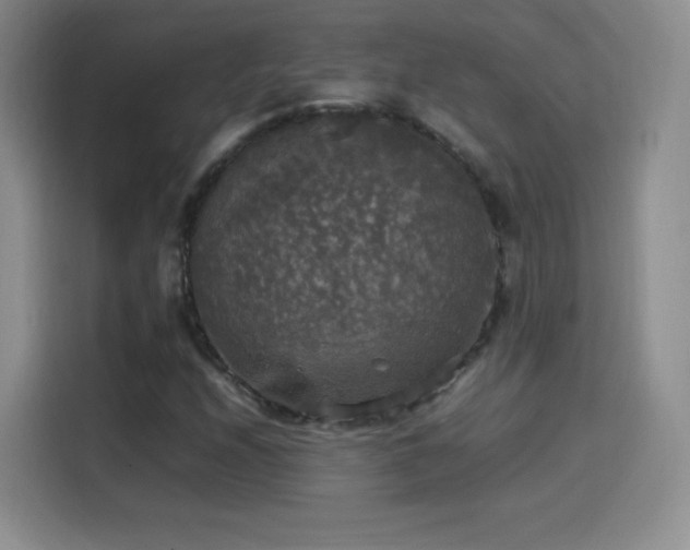 X0000114111208200910131335
