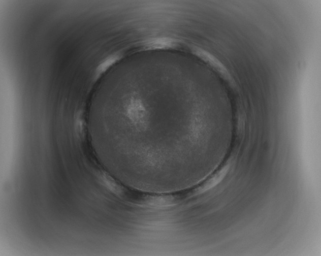 X0000114111210200910131335