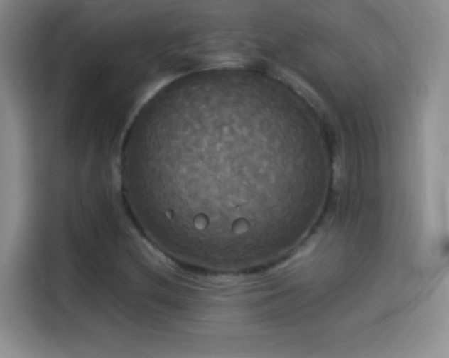 X0000114111212200910131335