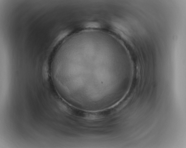 X0000114111213200910131335