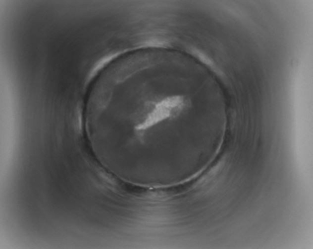 X0000114111214200910131335