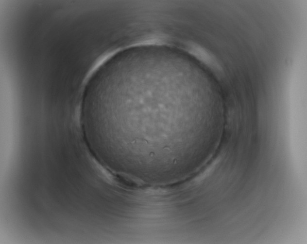 X0000114111216200910131336