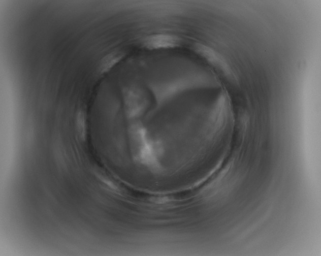 X0000114111217200910131336