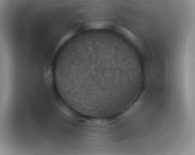 X0000114111218200910131336