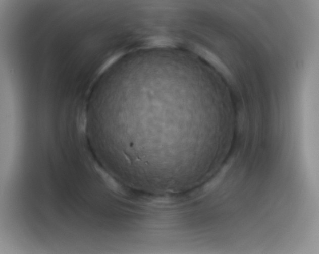 X0000114111220200910131336