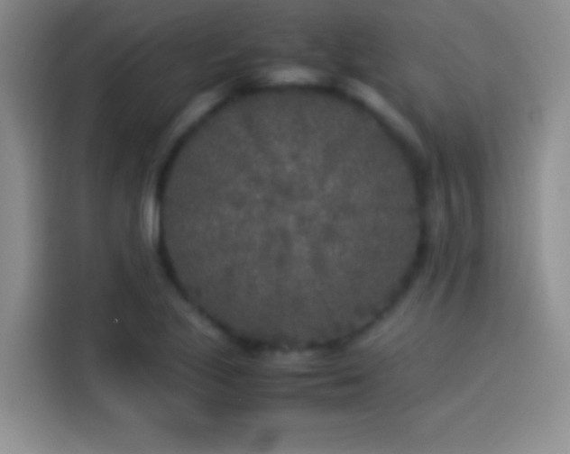 X0000114111221200910131336