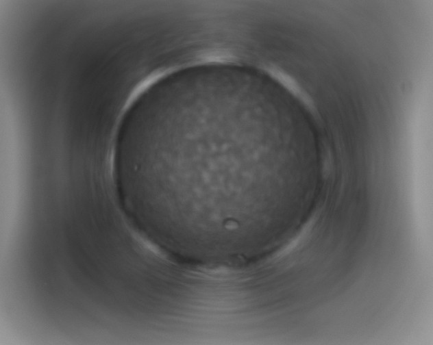 X0000114111222200910131336