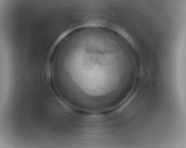X0000114111224200910131336