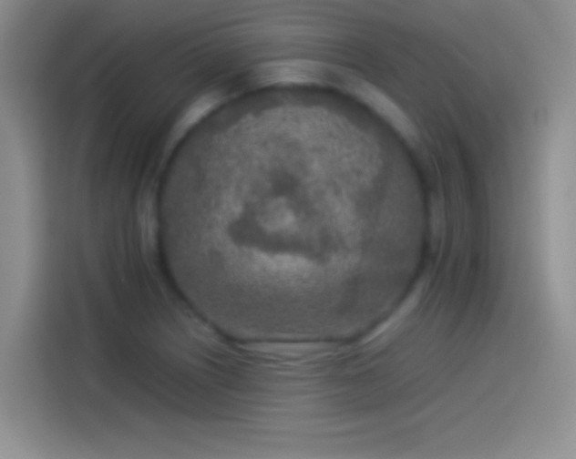 X0000114111226200910131336