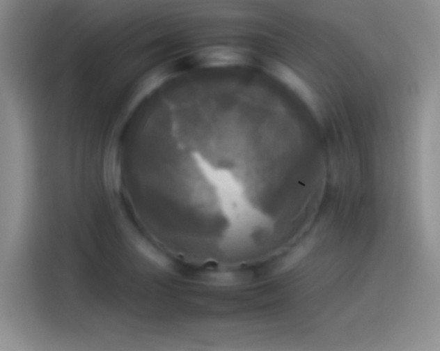 X0000114111227200910131336