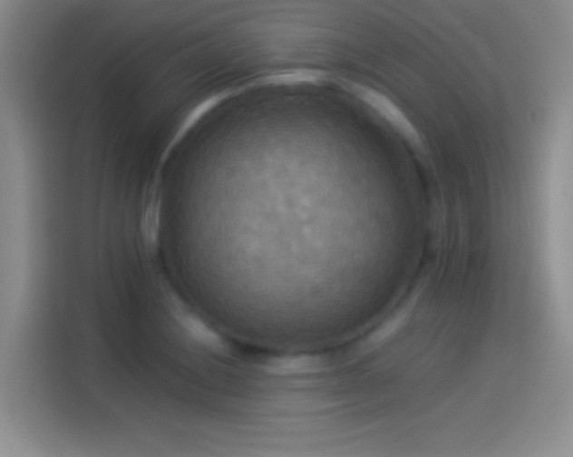 X0000114111228200910131336