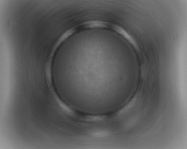 X0000114111229200910131336