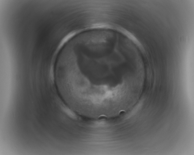 X0000114111230200910131336