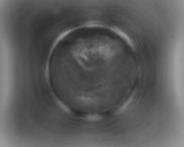 X0000114111231200910131336