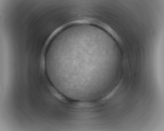 X0000114111232200910131336