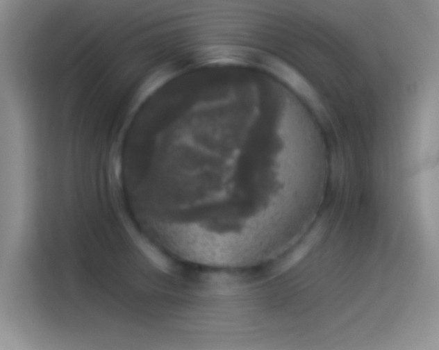 X0000114111234200910131336