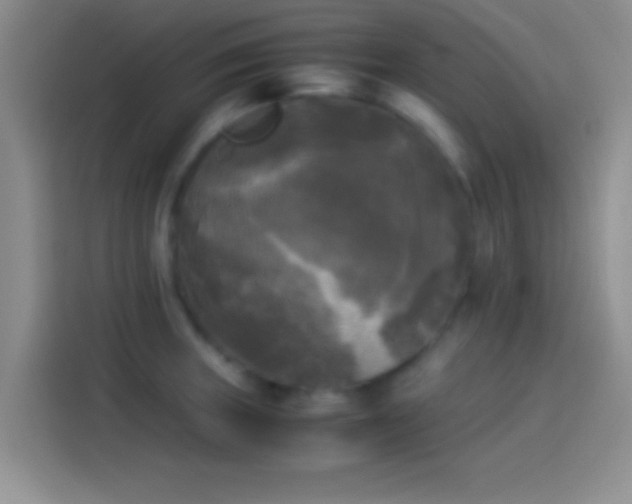 X0000114111235200910131336