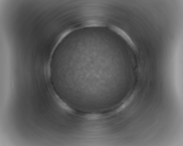 X0000114111236200910131336