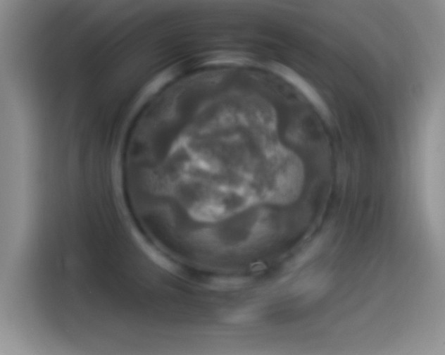 X0000114111237200910131336