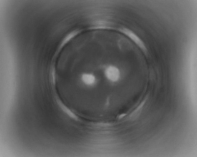 X0000114111238200910131336