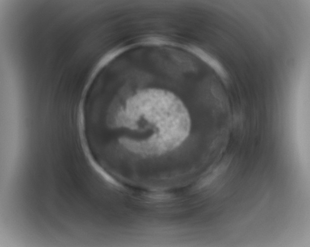 X0000114111239200910131336