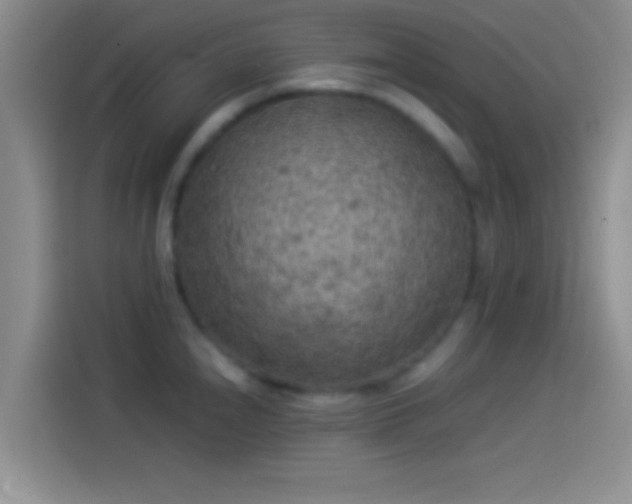 X0000114111240200910131336
