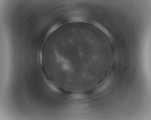 X0000114111242200910131336