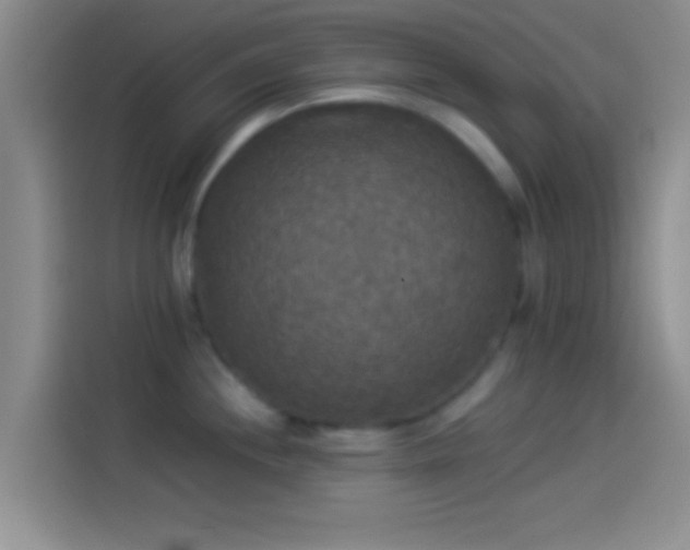 X0000114111244200910131336