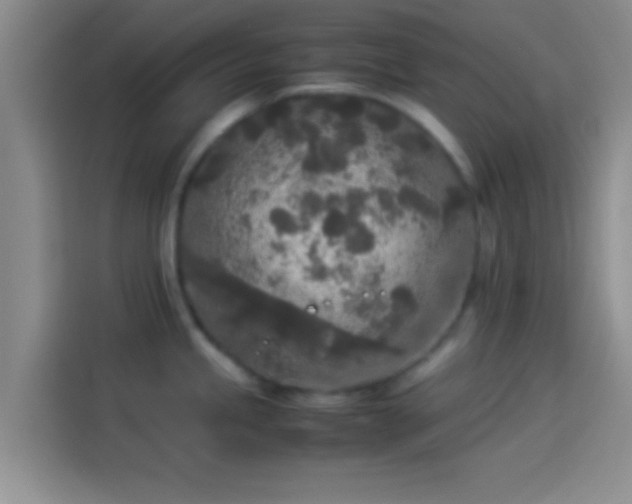 X0000114111245200910131336