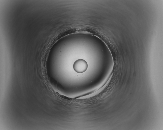 X0000114111249200910131335