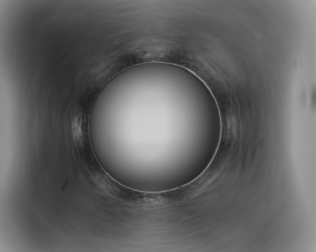 X0000114111250200910131335
