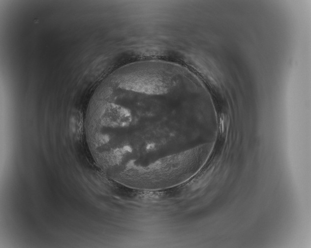 X0000114111251200910131335