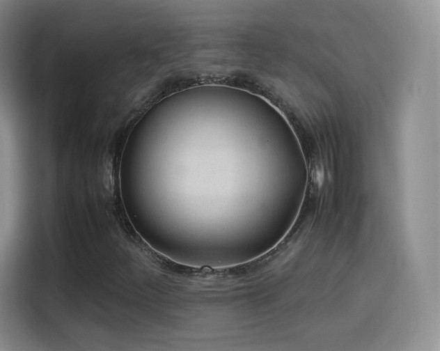 X0000114111252200910131335